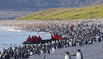 Тур «Южная Георгия, Фолклендские острова и Антарктида»