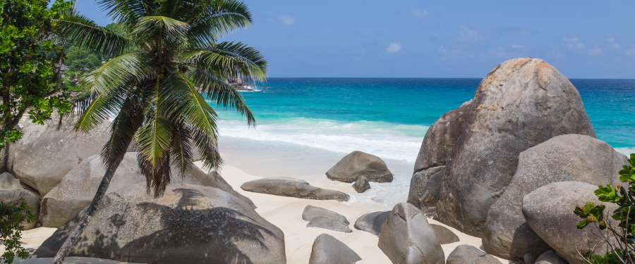 Тур «Тропическое очарование Сейшельских островов»
