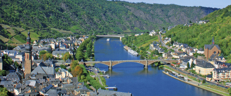 Тур «Швейцария и очаровательные замки и виноградники Рейна и Мозеля»