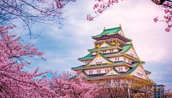 Тур «Большое путешествие по Японии»