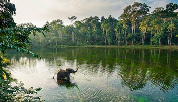 Тур «Экспедиция по бассейну реки Конго»