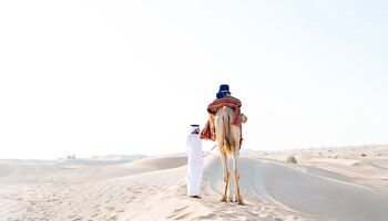 Тур «Сокровища Персидского залива»