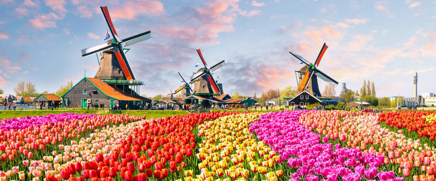 Тур «Ветряные мельницы и тюльпаны Бельгии»